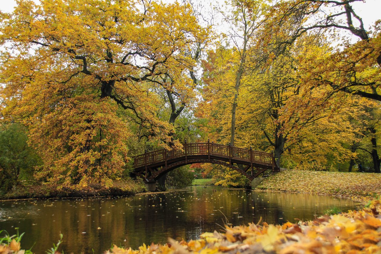 Paartherapie als Brücke zwischen Dir und mir.